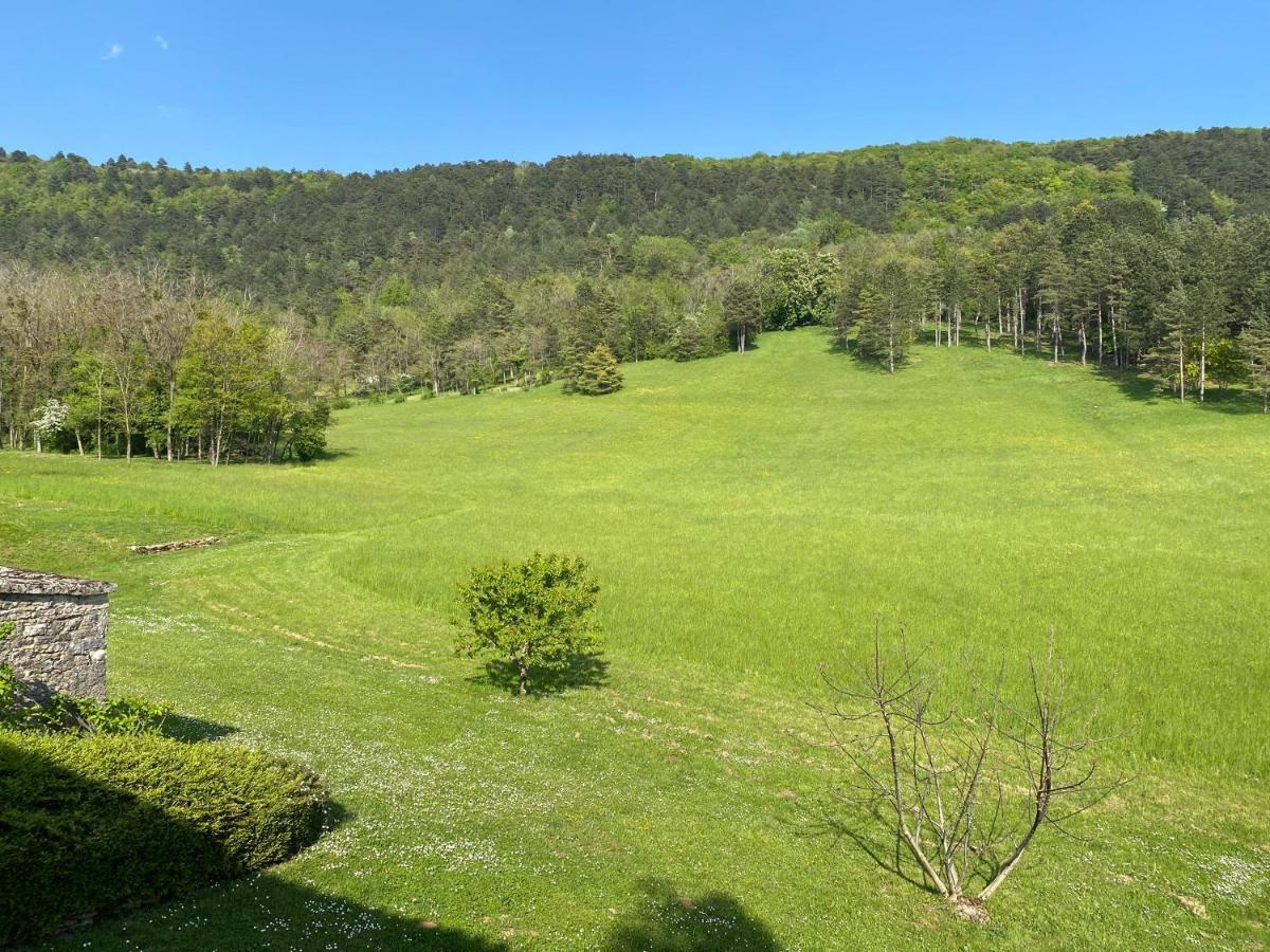 Clos De Mont July, Architecture Xviiie Au Coeur De La Nature Ceyzeriat Bagian luar foto