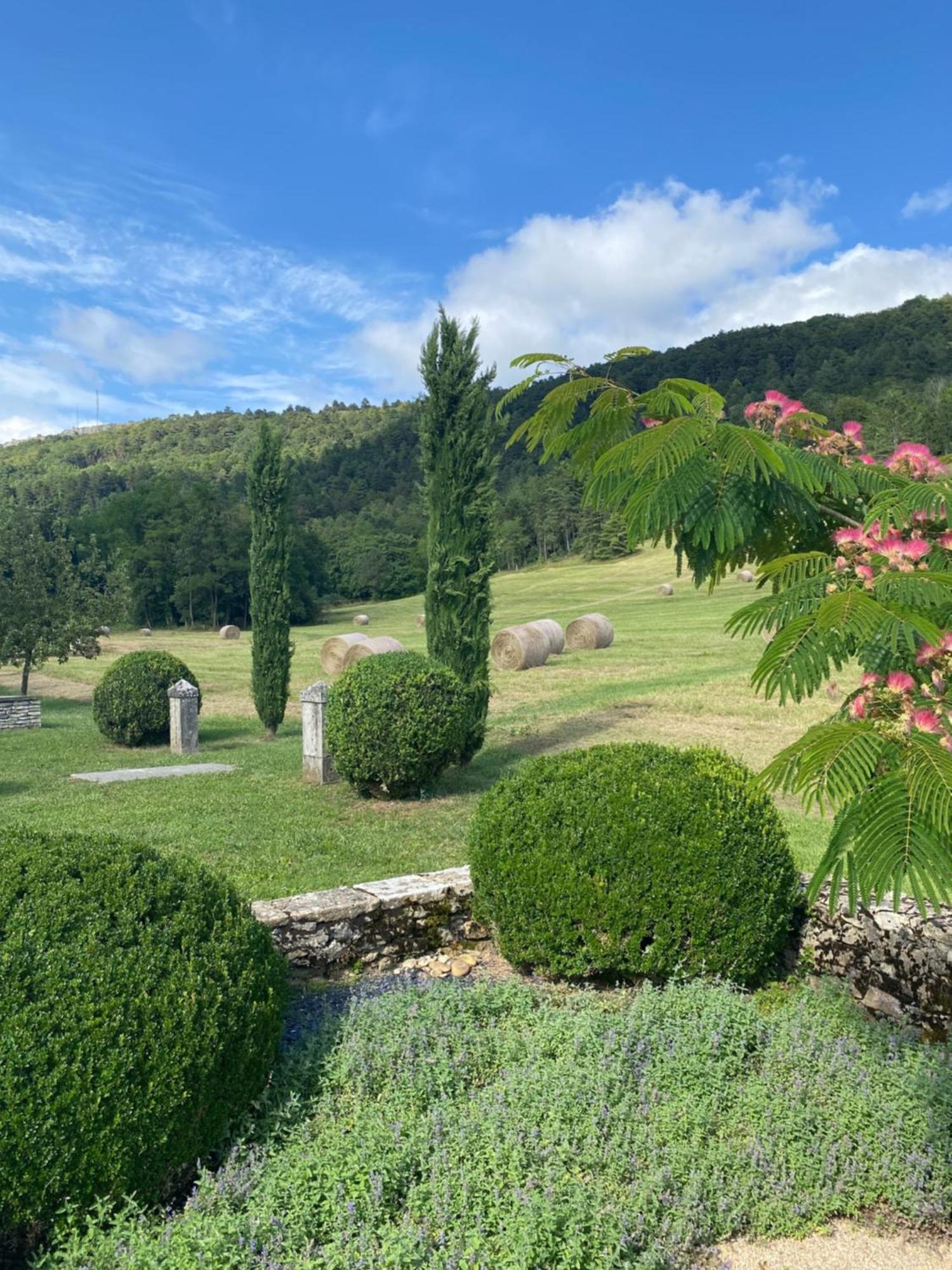 Clos De Mont July, Architecture Xviiie Au Coeur De La Nature Ceyzeriat Bagian luar foto